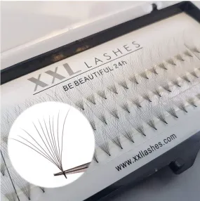 10D - Premade Fans - 60pcs | C-Curl
