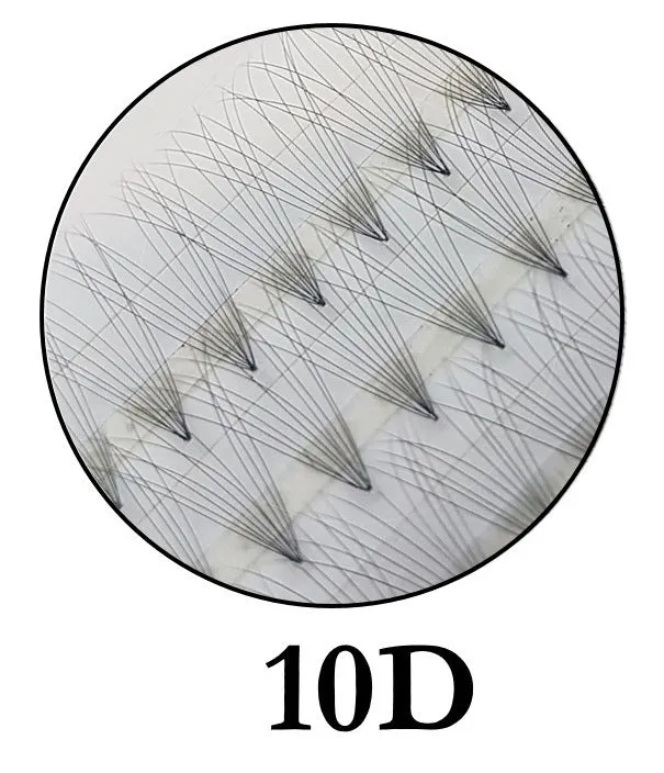 10D - Premade Fans - 60pcs | C-Curl