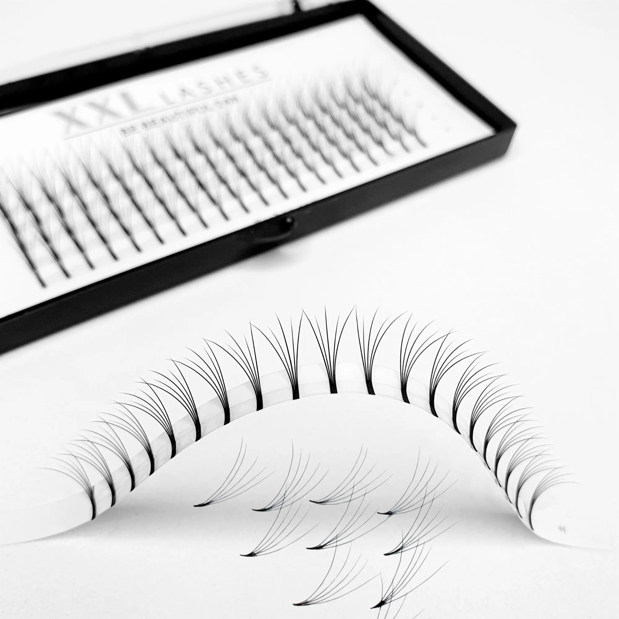 5D - Premade Fans - 120 pcs | D-Curl