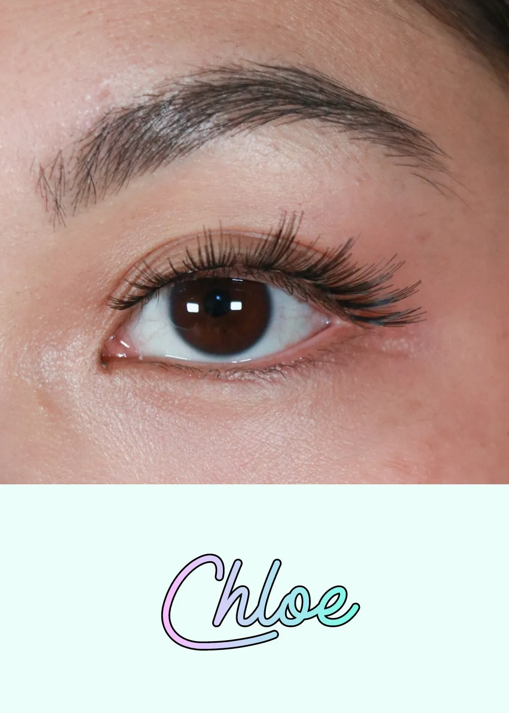AOA Studio Eyelashes - Chloe