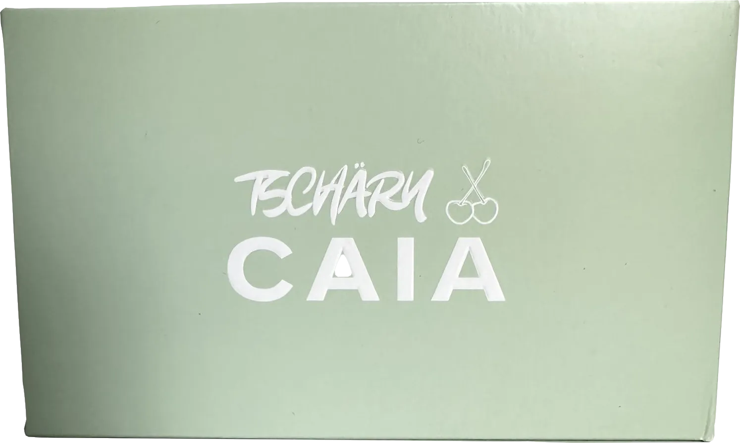 caia Tschäry warm, neutral shades of highlighter & eyeshadow Palette