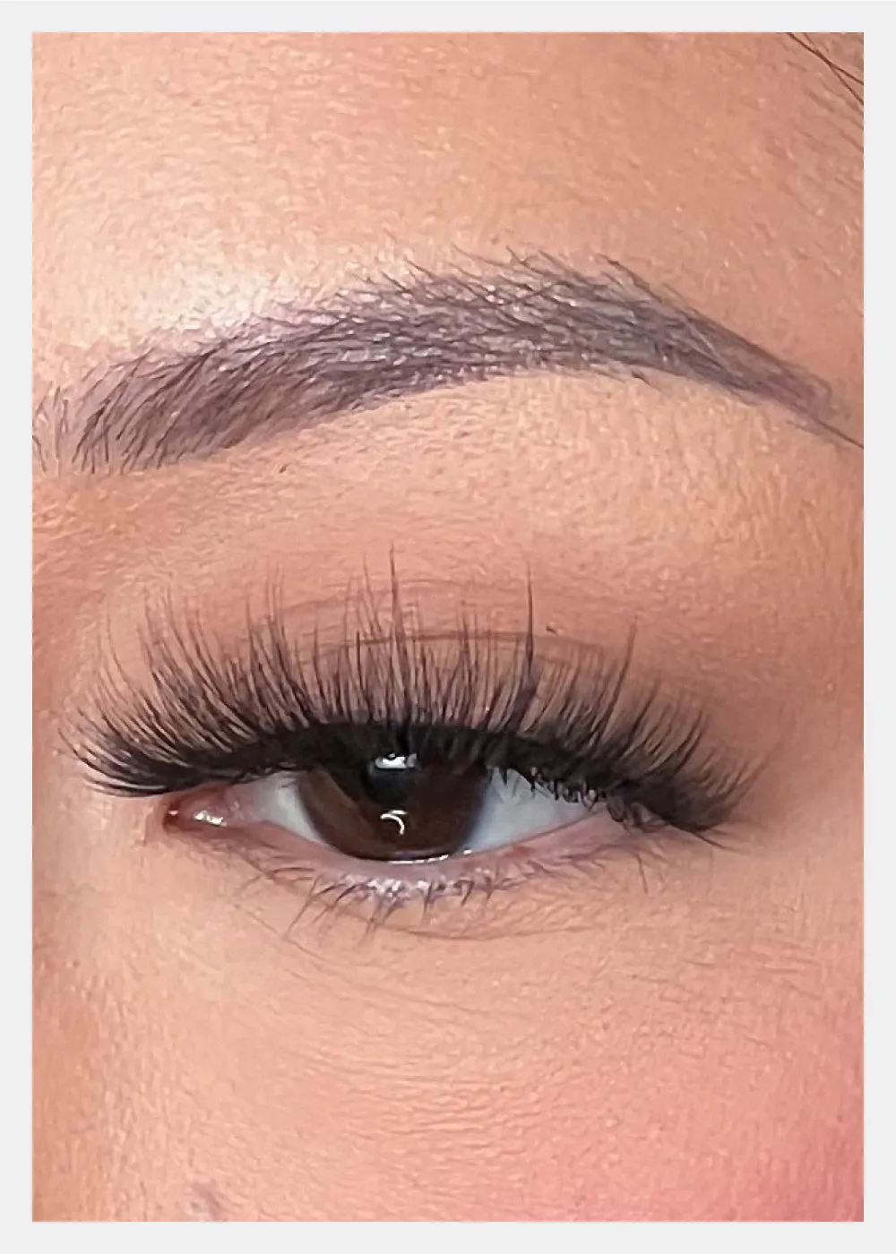 D-LUX Curl Premium Faux Mink Lashes - Ava