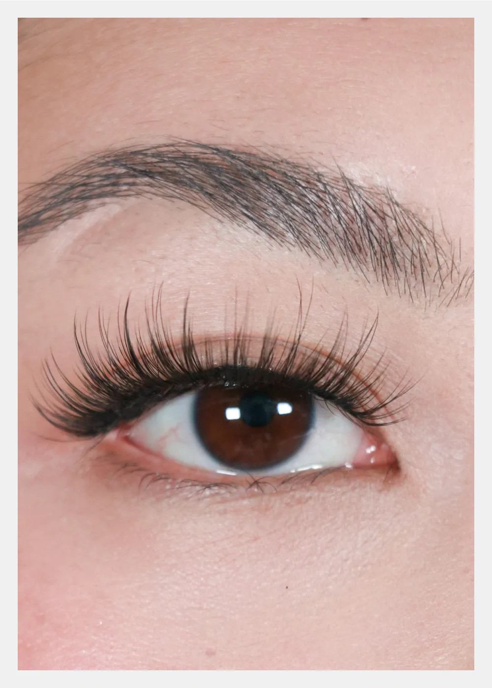 D-LUX Curl Premium Faux Mink Lashes - Dorothy