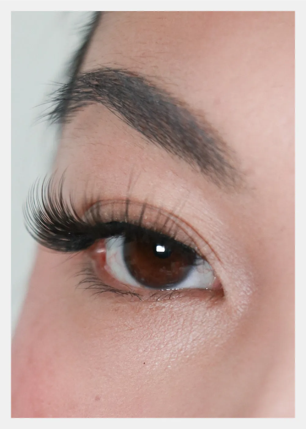 D-LUX Curl Premium Faux Mink Lashes - Dorothy