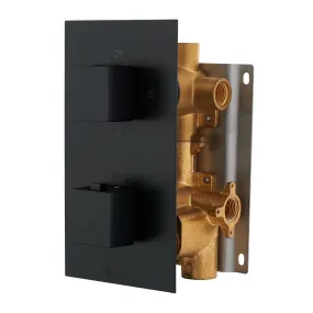 DAX Square Concealed Valve. thermostatic Mixer with 2/3 Function Diverter. Matte Black Finish (DAX-1054-SQ-BL)