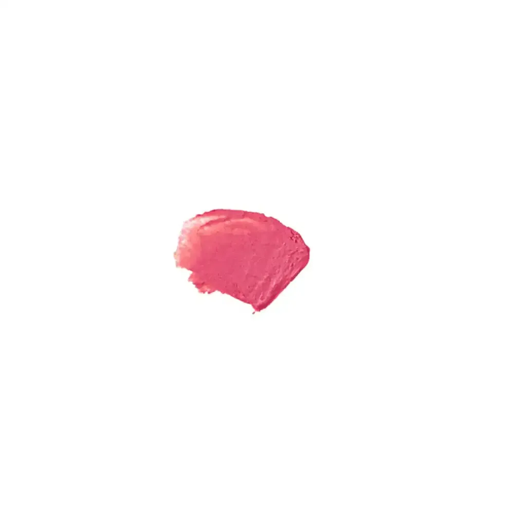 Le Lip Tint  Bien Fait