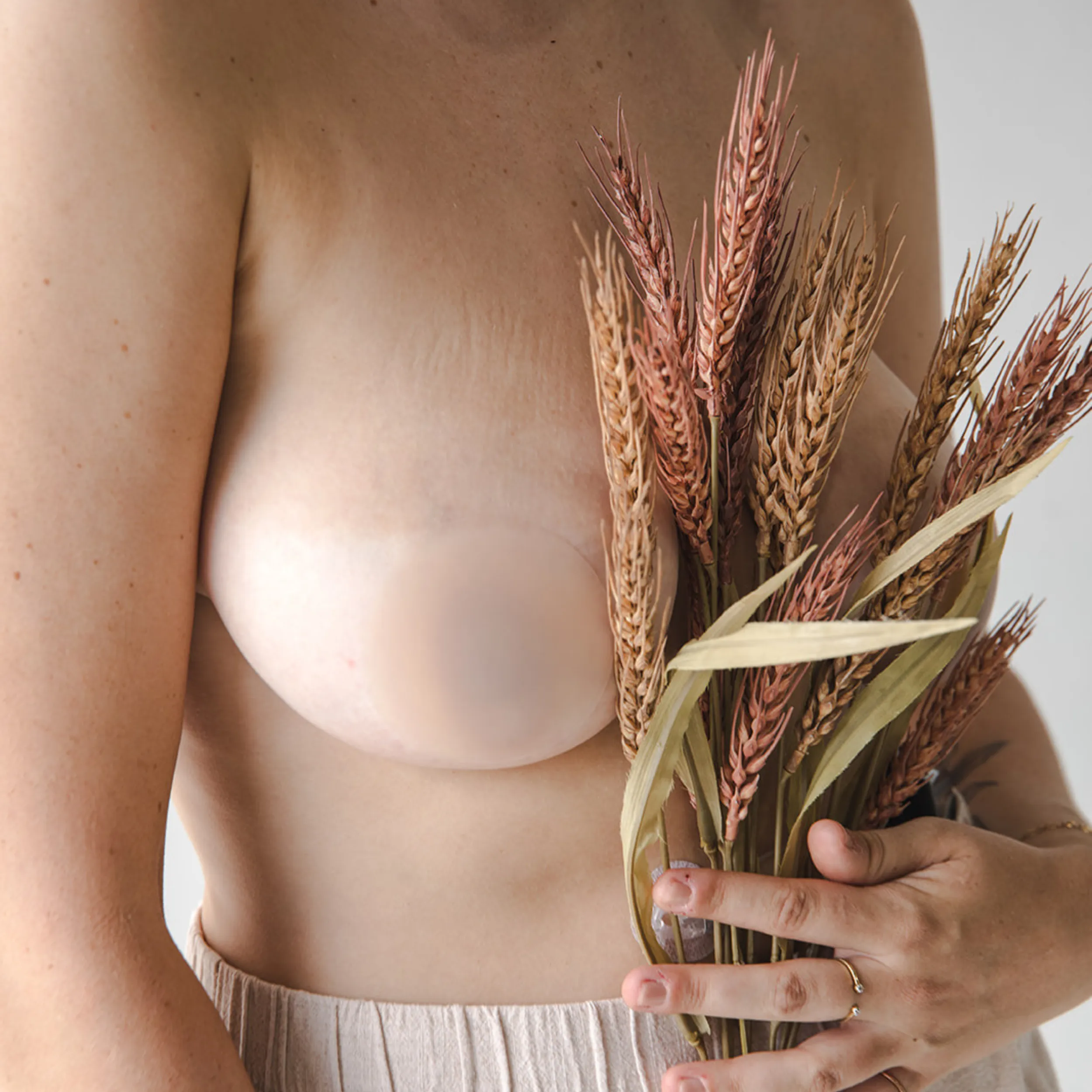 Light Nude Basics Bundle