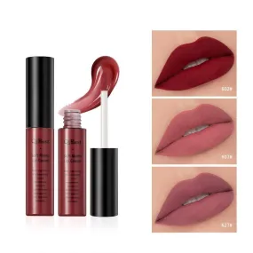 Matte Lip Gloss Lip Makeup