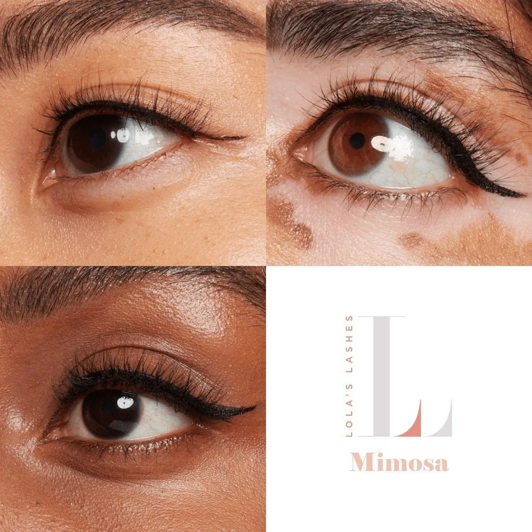 Mimosa Hybrid Magnetic Lash & Liner Kit