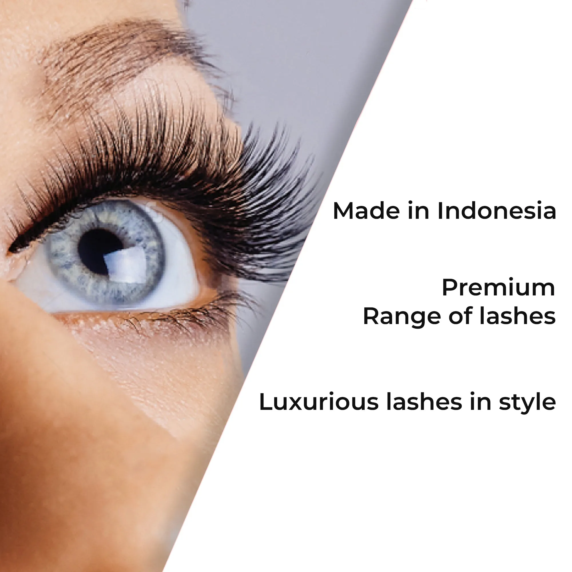 Professional Individual Ultra Thick Lashes, 7 Ply Flare Black, Knot Free & Short For Intense Volume (BF1005-Medium)